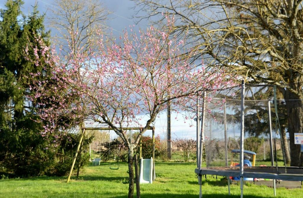 Maison D'Hotes La Prevote Périssac Exterior foto